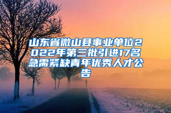 山东省微山县事业单位2022年第三批引进17名急需紧缺青年优秀人才公告