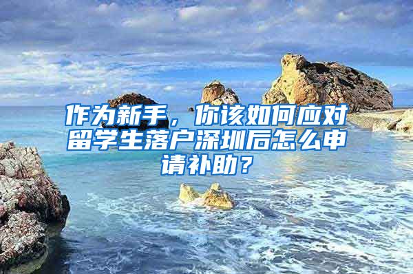 作为新手，你该如何应对留学生落户深圳后怎么申请补助？