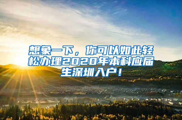 想象一下，你可以如此轻松办理2020年本科应届生深圳入户！