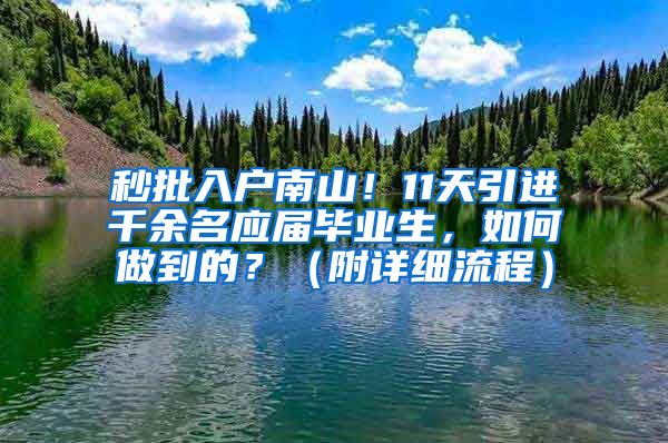 秒批入户南山！11天引进千余名应届毕业生，如何做到的？（附详细流程）