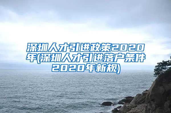 深圳人才引进政策2020年(深圳人才引进落户条件2020年新规)