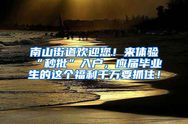 南山街道欢迎您！来体验“秒批”入户，应届毕业生的这个福利千万要抓住！