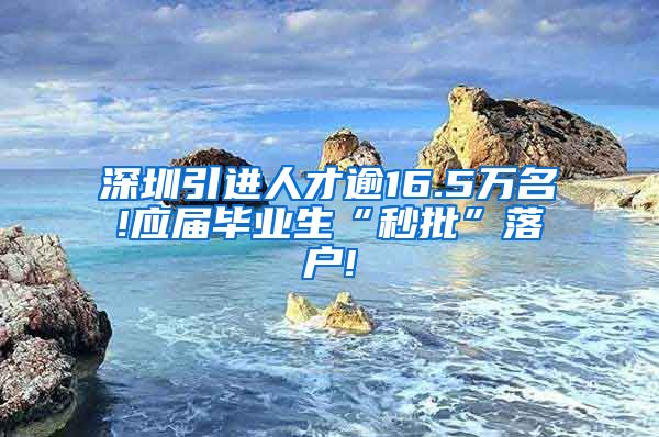 深圳引进人才逾16.5万名!应届毕业生“秒批”落户!