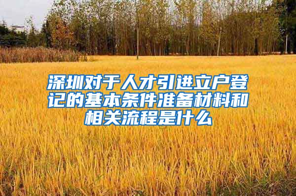 深圳对于人才引进立户登记的基本条件准备材料和相关流程是什么