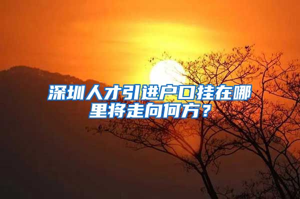 深圳人才引进户口挂在哪里将走向何方？