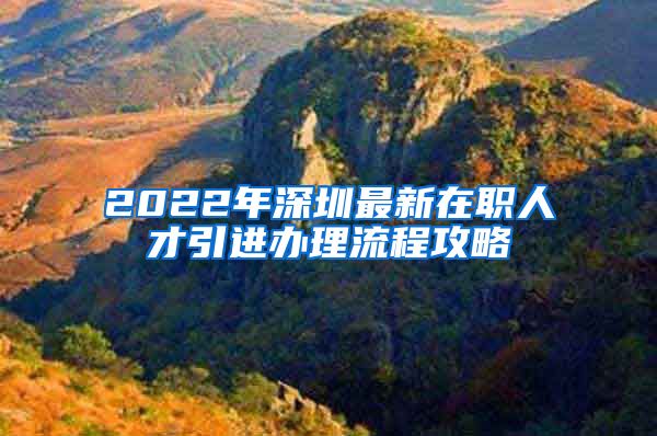 2022年深圳最新在职人才引进办理流程攻略