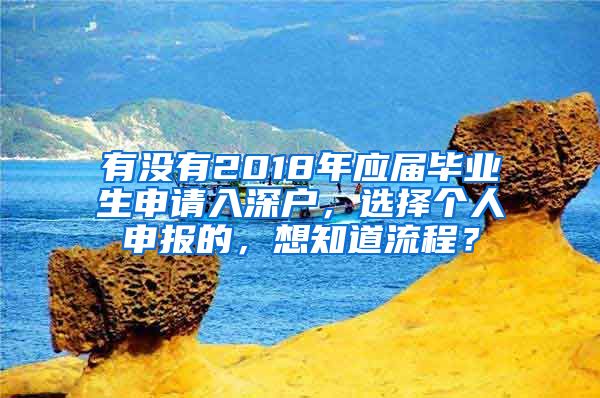 有没有2018年应届毕业生申请入深户，选择个人申报的，想知道流程？