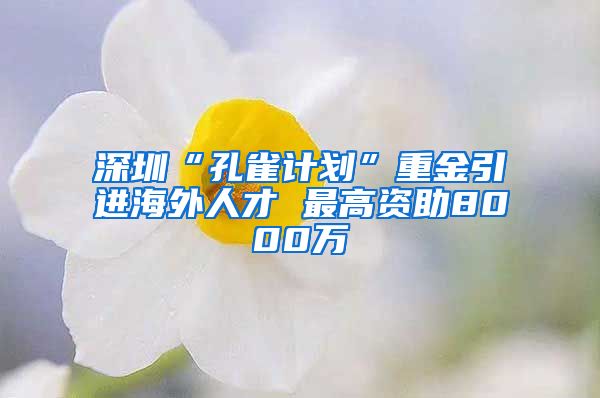 深圳“孔雀计划”重金引进海外人才 最高资助8000万