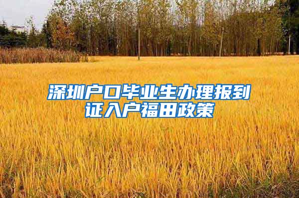 深圳户口毕业生办理报到证入户福田政策