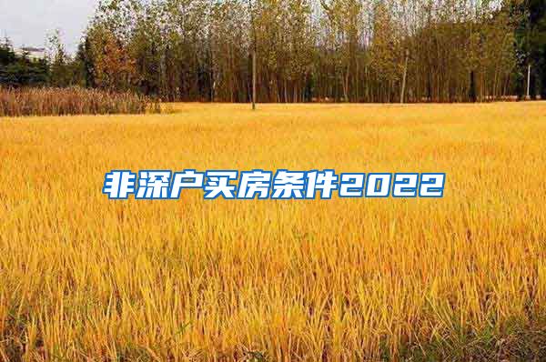 非深户买房条件2022