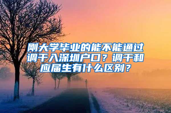 刚大学毕业的能不能通过调干入深圳户口？调干和应届生有什么区别？