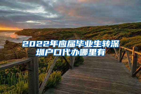 2022年应届毕业生转深圳户口代办哪里有