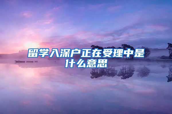 留学入深户正在受理中是什么意思