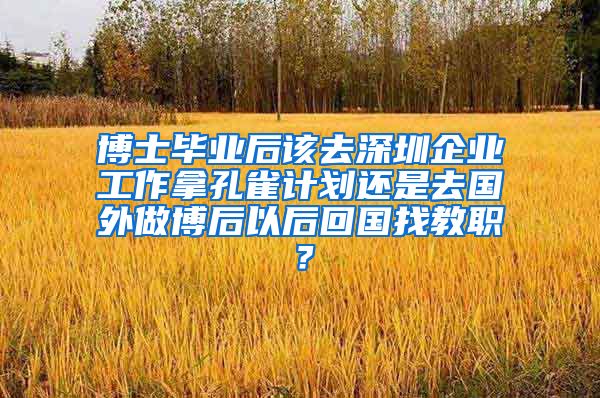 博士毕业后该去深圳企业工作拿孔雀计划还是去国外做博后以后回国找教职？