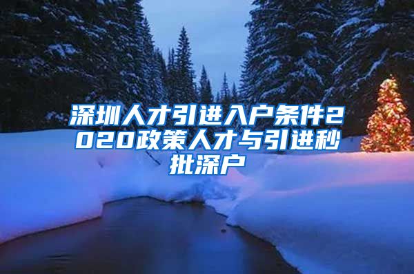 深圳人才引进入户条件2020政策人才与引进秒批深户