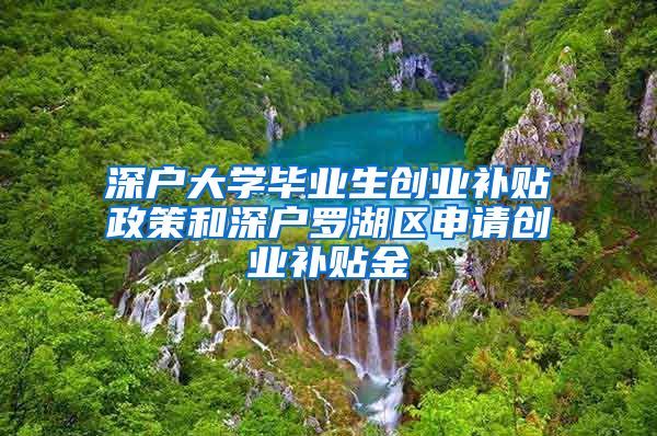 深户大学毕业生创业补贴政策和深户罗湖区申请创业补贴金