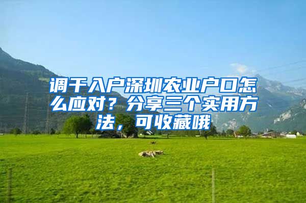 调干入户深圳农业户口怎么应对？分享三个实用方法，可收藏哦