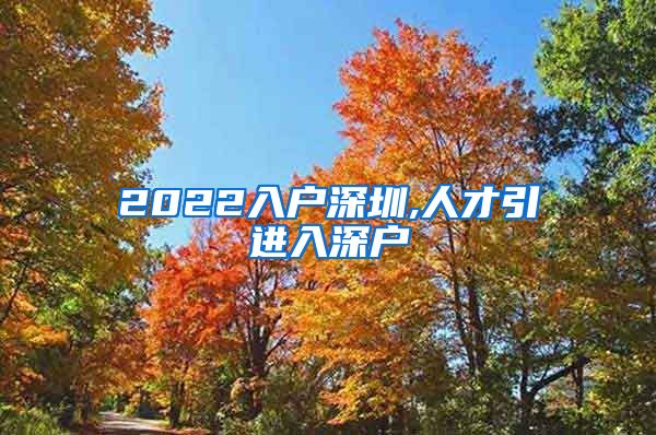 2022入户深圳,人才引进入深户