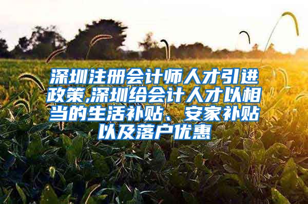 深圳注册会计师人才引进政策,深圳给会计人才以相当的生活补贴、安家补贴以及落户优惠