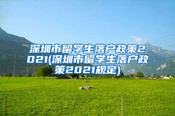 深圳市留学生落户政策2021(深圳市留学生落户政策2021规定)