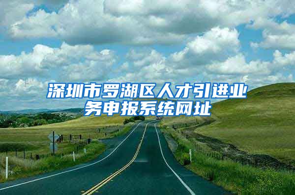 深圳市罗湖区人才引进业务申报系统网址