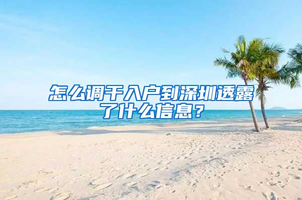 怎么调干入户到深圳透露了什么信息？