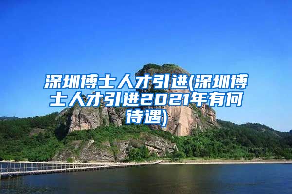 深圳博士人才引进(深圳博士人才引进2021年有何待遇)