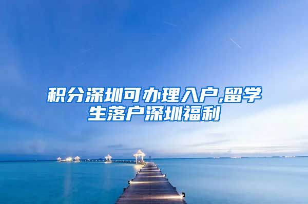 积分深圳可办理入户,留学生落户深圳福利