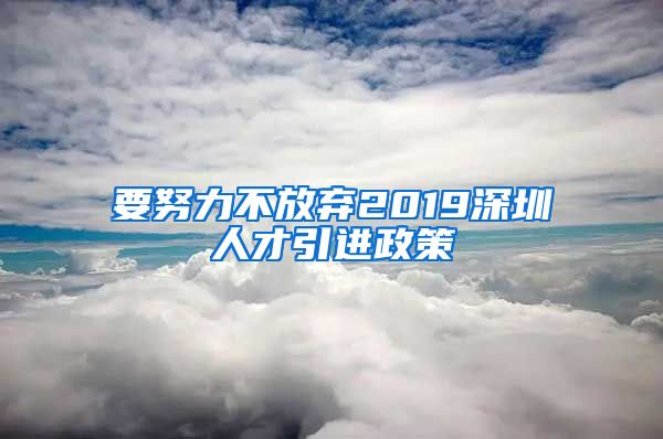 要努力不放弃2019深圳人才引进政策