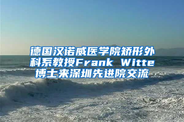 德国汉诺威医学院矫形外科系教授Frank Witte博士来深圳先进院交流