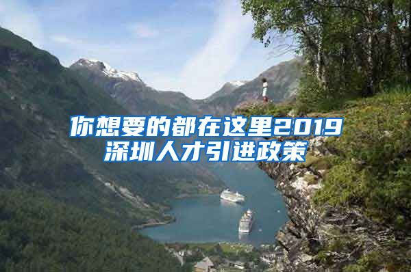 你想要的都在这里2019深圳人才引进政策