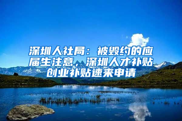 深圳人社局：被毁约的应届生注意，深圳人才补贴创业补贴速来申请