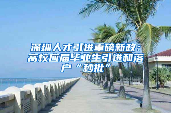 深圳人才引进重磅新政：高校应届毕业生引进和落户“秒批”