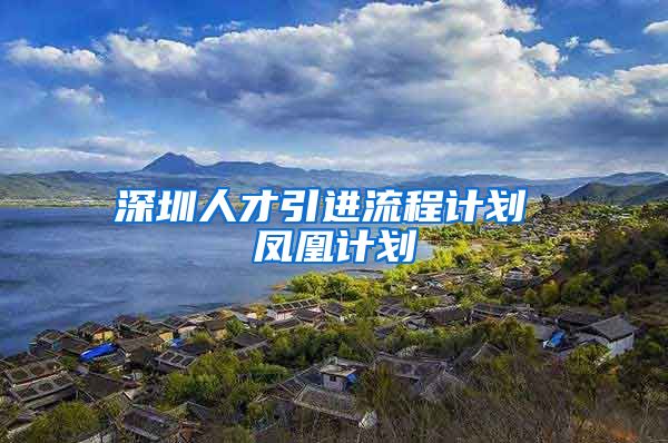 深圳人才引进流程计划 凤凰计划