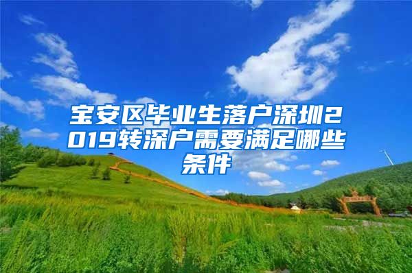 宝安区毕业生落户深圳2019转深户需要满足哪些条件