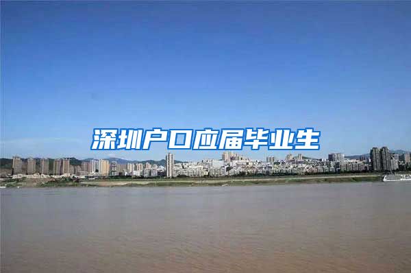 深圳户口应届毕业生