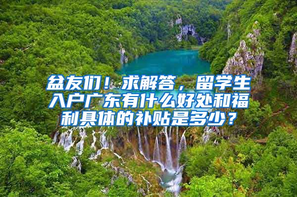 盆友们！求解答，留学生入户广东有什么好处和福利具体的补贴是多少？