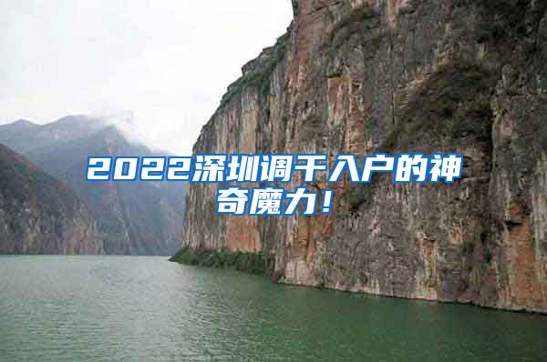 2022深圳调干入户的神奇魔力！