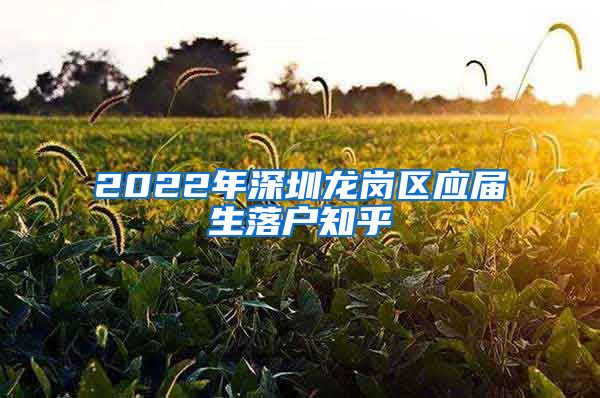 2022年深圳龙岗区应届生落户知乎