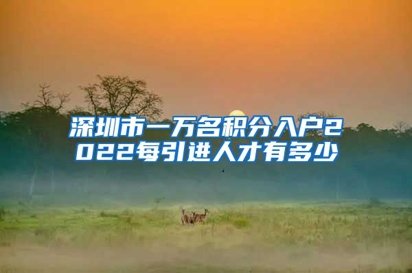 深圳市一万名积分入户2022每引进人才有多少