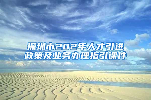 深圳市202年人才引进政策及业务办理指引课件