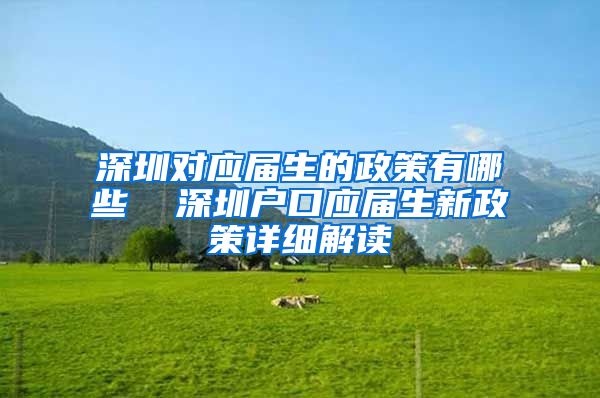 深圳对应届生的政策有哪些  深圳户口应届生新政策详细解读