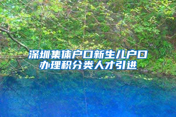 深圳集体户口新生儿户口办理积分类人才引进