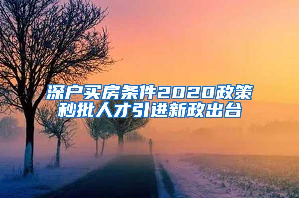 深户买房条件2020政策秒批人才引进新政出台