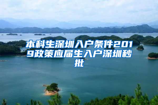 本科生深圳入户条件2019政策应届生入户深圳秒批