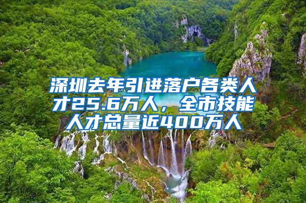 深圳去年引进落户各类人才25.6万人，全市技能人才总量近400万人