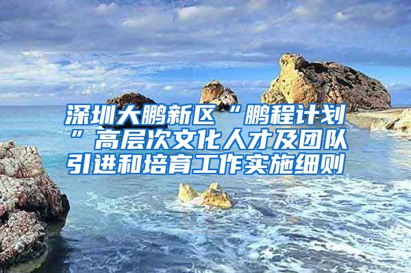 深圳大鹏新区“鹏程计划”高层次文化人才及团队引进和培育工作实施细则