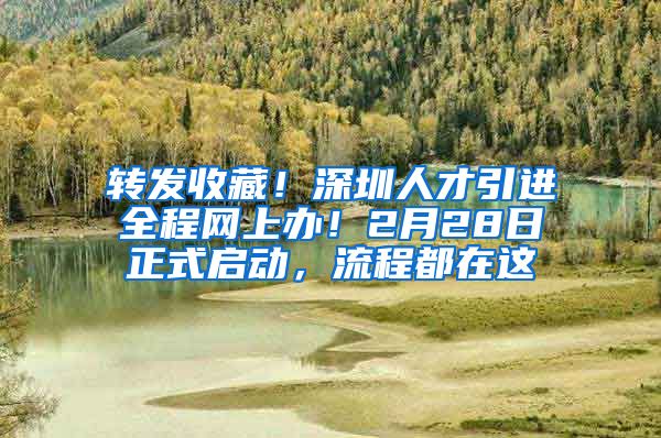 转发收藏！深圳人才引进全程网上办！2月28日正式启动，流程都在这