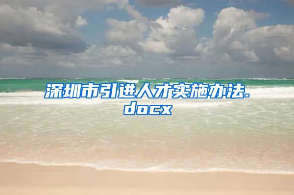 深圳市引进人才实施办法.docx