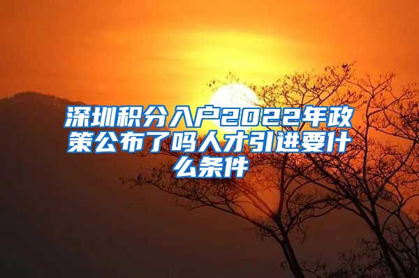 深圳积分入户2022年政策公布了吗人才引进要什么条件